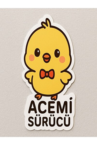 PRİME Concept ACEMİ SÜRÜCÜ ARABA ÇIKARTMA 15 X 15 CM (STİCKER)