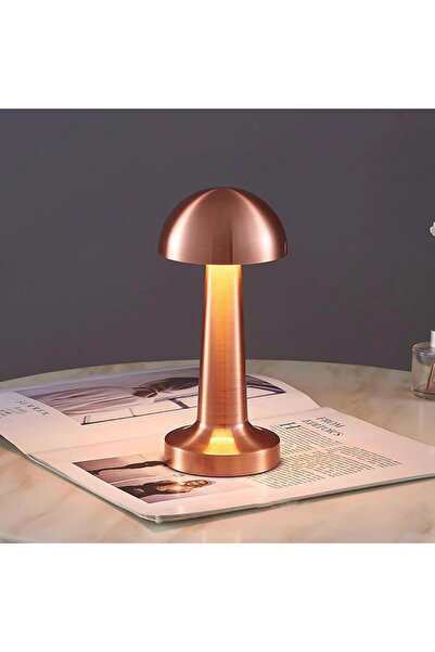 ETRONIK Copper Mushroom Night Lamp, LED Desk and Table Lamp Bedroom Living Room with 3-Color Touch Control