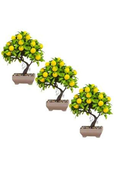 Mercaton Set Mercaton, 3 Lămâi Artificiale în Ghiveci, Plastic, 18 x 24 cm