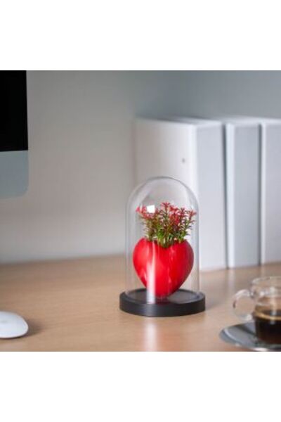 Mercaton Decor plante artificiale inima visiniu 11 x 18 cm