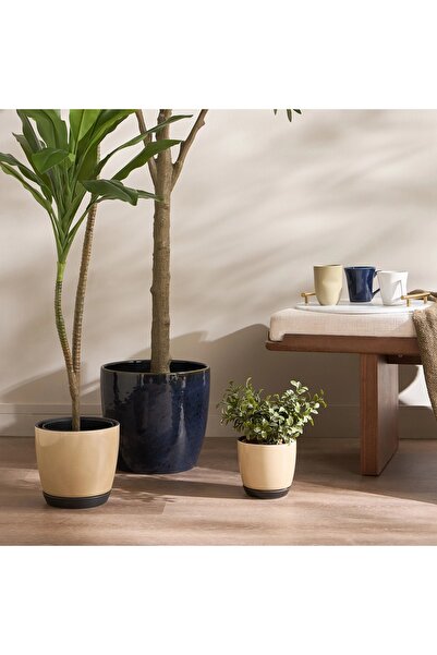 Generic Tulipa Ceramic Mug - 330 ml