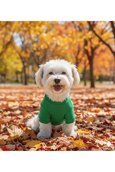 Lokums Handmade Basic Dog Clothes (for Small and Medium Breeds)
