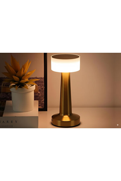 ETRONIK Gold LED Touch Control Desk Lamp and Night Light - Portable, 3 Colors for Bedroom, Restaurant & Bar