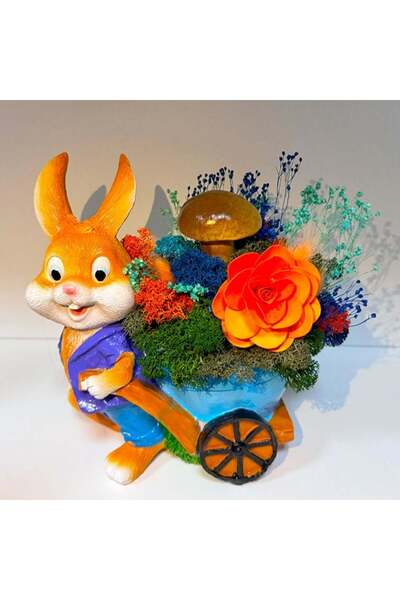 velve Ανθοσυνθεση σε σχήμα λαγουδάκι, αγόρι λαγουδάκι, καρότσι με κρυογονικά ...