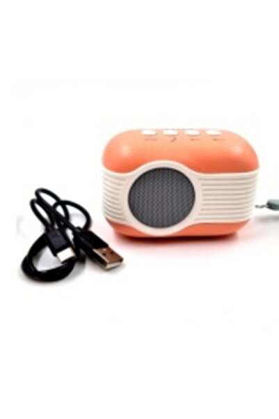 Wster Portable Speaker WS-315