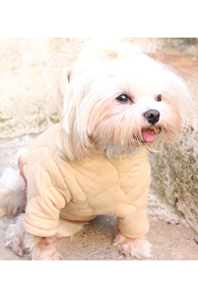 petite pati Kapüşonlu Bej Köpek Sweatshirt – Kalın cift kat Kapitone Kumaş Kışlık Evcil Hayvan Giysisi