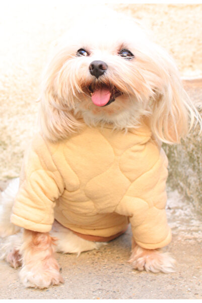 petite pati Kapüşonlu Bej Köpek Sweatshirt – Kalın cift kat Kapitone Kumaş Kışlık Evcil Hayvan Giysisi