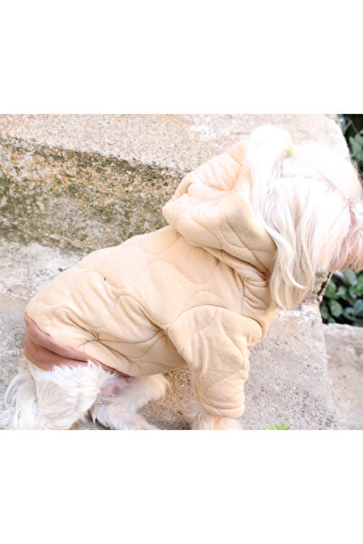 petite pati Kapüşonlu Bej Köpek Sweatshirt – Kalın cift kat Kapitone Kumaş Kışlık Evcil Hayvan Giysisi