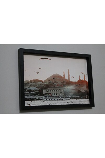 LİFE GLOBAL Picture Frame Black 20X30 Single Piece with Picture and Pvc Protection