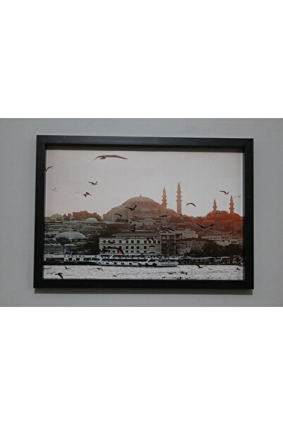 LİFE GLOBAL Picture Frame Black 20X30 Single Piece with Picture and Pvc Protection