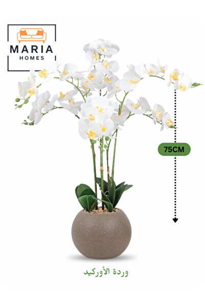 MARIA HOMES زهرة أوركيد بيضاء اصطناعية 75 سم - زهرة أنيقة بستة سيقان في وعاء ...