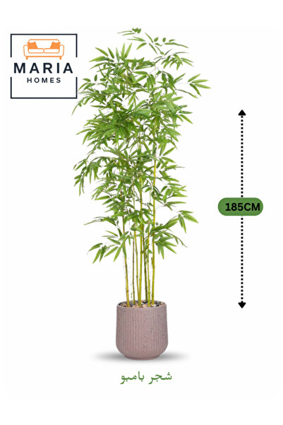 MARIA HOMES شجرة خيزران اصطناعية بطول 185 سم - نبات أخضر طويل مزخرف مع وعاء بلاستيكي عصري