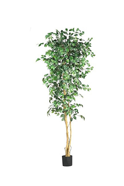 jonaeinah شجرة صناعية شجرة الفيكس 462 ارتفاع 180سم