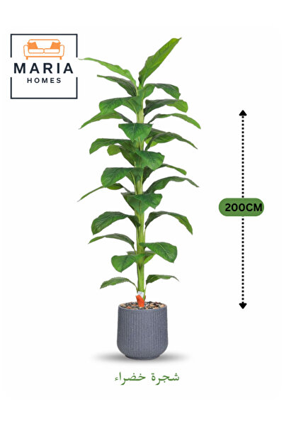 MARIA HOMES Artificial Green Leaf Tree 200 cm – Tall Decorative Plant in Grey Pot