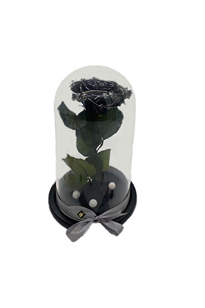 velve Trandafir Criogenat cu accesorii, blat negru, pe pat de petale, Negru, Model 6