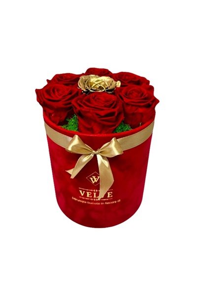 velve Aranjament floral cu 7 trandafiri criogenati, pe pat de licheni verzi, ...