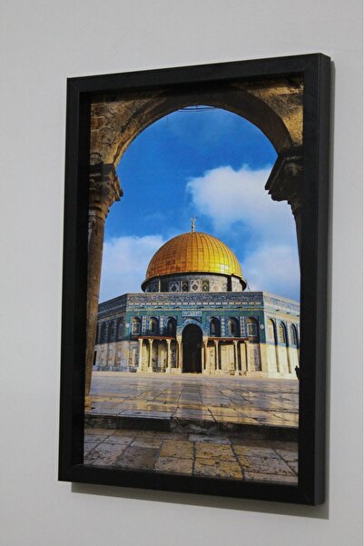 LİFE GLOBAL Picture Frame Black 20X30 Single Piece with Picture and Pvc Protection