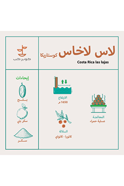 COPPER CUP قهوة كوستاريكا لاس لاخاس 250 جرام