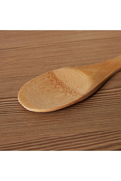 Generic Asasaa Serving Spoon