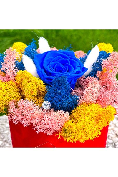 velve Aranjament floral LYA, cu licheni naturali stabilizati, lagurus, trandafir criogenat,Roz/Albastru