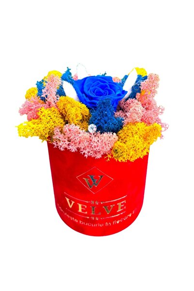 velve Aranjament floral LYA, cu licheni naturali stabilizati, lagurus, trandafir criogenat,Roz/Albastru