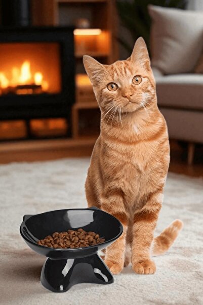 İLİVA Siyah Özel Tasarım Kedi Mama Kabı