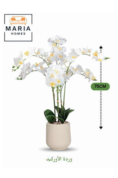 MARIA HOMES نبات أوركيد أبيض صناعي 75 سم – 6 سيقان مع وعاء بلاستيكي مزخرف للمنزل والمكتب