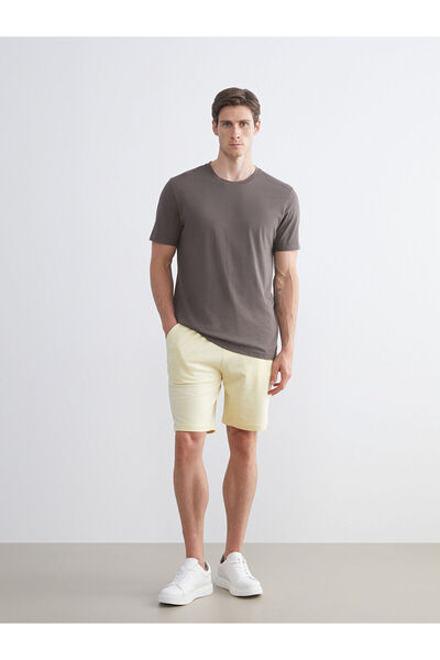 LC Waikiki Nevavm Standard Fit Men's Shorts with a Difference