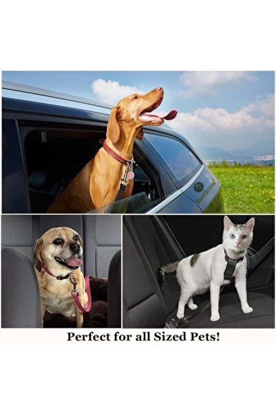 General Store Safety Belt for Dogs and Cats, Adjustable with Snap Hook, 2.5 X 70 cm, Pink