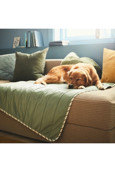 IKEA Evcil Hayvan Battaniyesi – Yeşil 100×150 cm | Yumuşak, Makinede Yıkanabi...