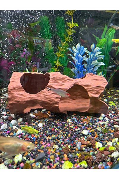 MUYU CRAFT Akvaryum Dekor Oyuk Kütük / Mağara Gövdesi Suda Duran Model 17x8 cm