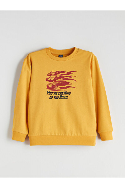 LC Waikiki ساري سويت شيرت للأولاد برقبة دائرية