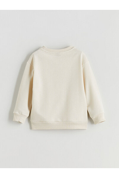 LC Waikiki Crew Neck Boy Sweatshirt