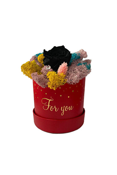 velve Trandafir criogenat Amour Rouge decorat in cutie cu licheni naturali stabilizati, Albastru