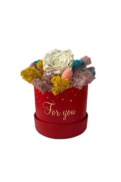 velve Trandafir criogenat Amour Rouge decorat in cutie cu licheni naturali stabilizati, Albastru