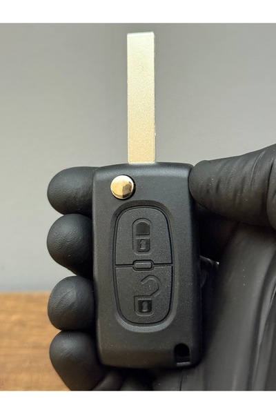 Luxe Aksesuarr Peugeot Partner-307-207-308-5008 Carcasă pentru telecomandă cu 2 butoane