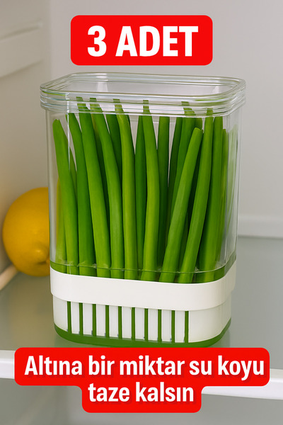 ViATOM 3-Piece Greenery Storage Container 2900ml – Vegetable and Herb Storage Container