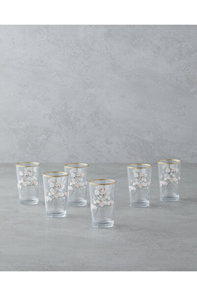 English Home Sakura Dream Glass Coffee Side Cup Transparent
