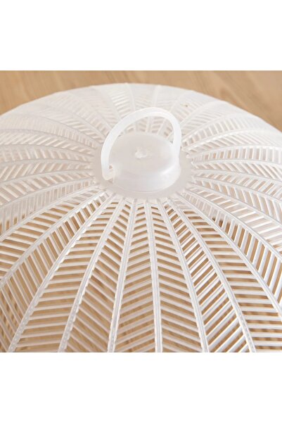 Generic Aisha Food Cover