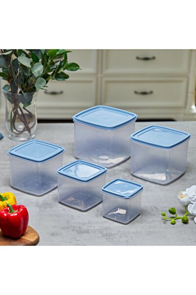 Generic Mesa Food Container - Set of 5