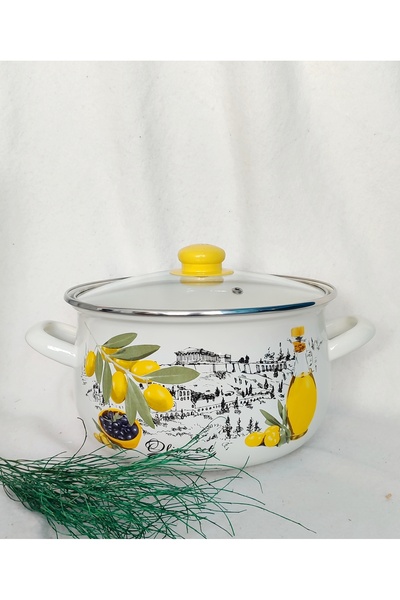 EBRULİEMAYE Olive Set Enamel Cookware Large Size 5 Liters 24 cm Diameter Milk Yogurt Soup Jam Canned Paste Pot