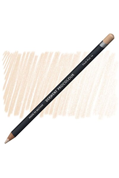 Derwent قلم تلوين جاف سوبرتريند بروكولور 16 وردي فاتح