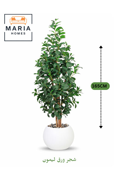 MARIA HOMES شجرة ليمون اصطناعية بأوراق خضراء، طولها 165 سم، في وعاء بلاستيكي ...