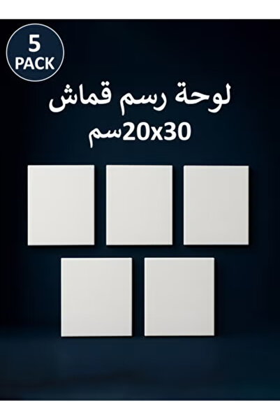 Taimi 30x20 cm Pre-Stretched Cotton Canvas – 5pcs for Acrylic & Oil Painting