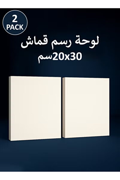 Taimi 30x20 cm Pre-Stretched Cotton Canvas – 2pcs for Acrylic & Oil Painting