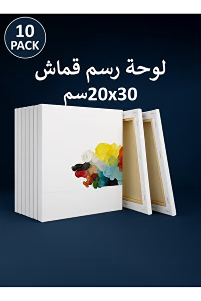 Taimi 30x20 cm Pre-Stretched Cotton Canvas – 10pcs for Acrylic & Oil Painting