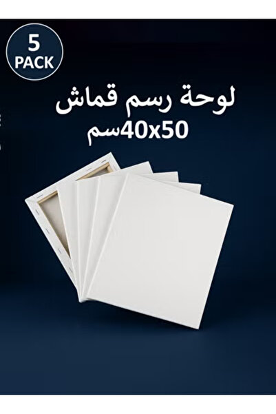 Taimi 50x40 cm Pre-Stretched Cotton Canvas – 5pcs for Acrylic & Oil Painting