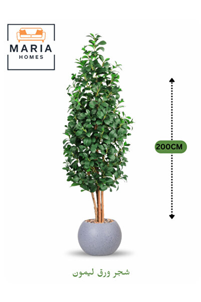 MARIA HOMES شجرة ليمون اصطناعية بأوراق خضراء، 200 سم، في وعاء بلاستيكي رمادي ...