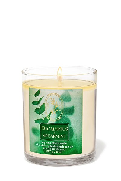 Bath & Body Works Eucalyptus Spearmint Orta Boy Mum 227 g
