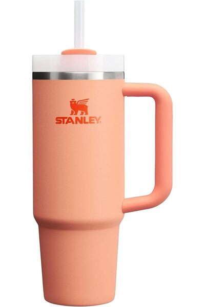 Generic Nectarine Quencher H2.0 FlowState Stainless Steel Vacuum Insulated Tumbler with Lid and Stra